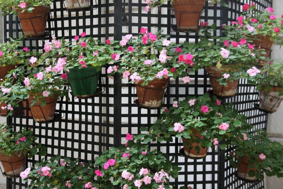 Décoration grillage jardin