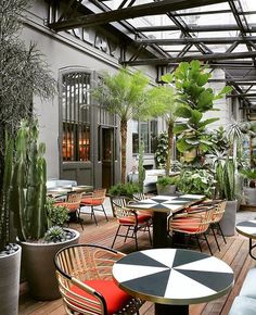 Décoration atypique arbre jardin