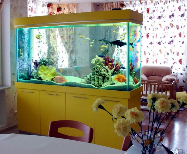 Decoration aquarium interieur
