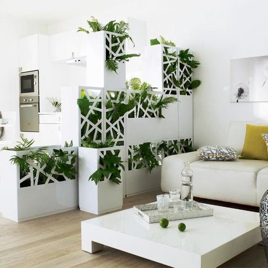 Décoration intérieur plantes