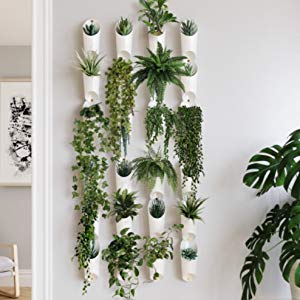 Plante décoration murale
