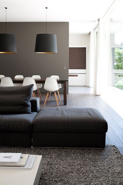 Decoration salon noir et taupe