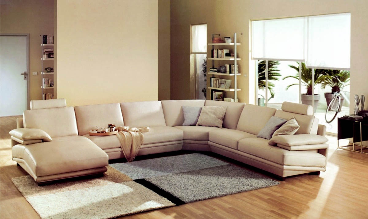Decoration salon cuir beige