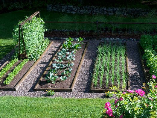 Decoration jardin potager