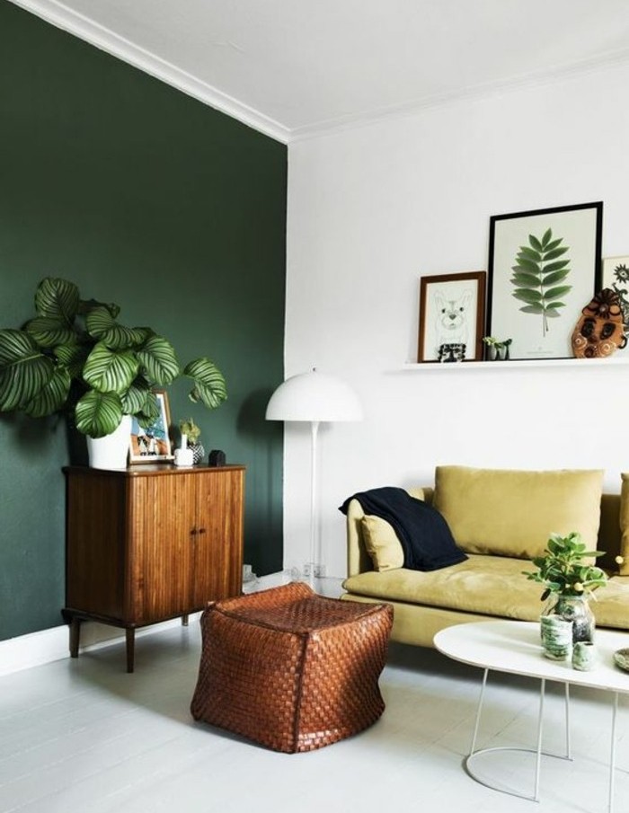 Idée décoration salon peinture