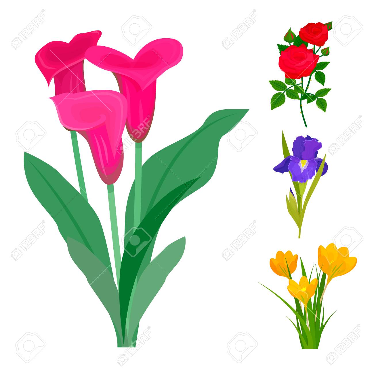 Decoration nature design
