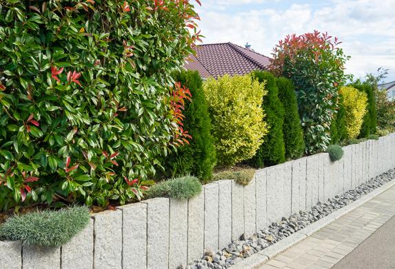 Décoration haie jardin