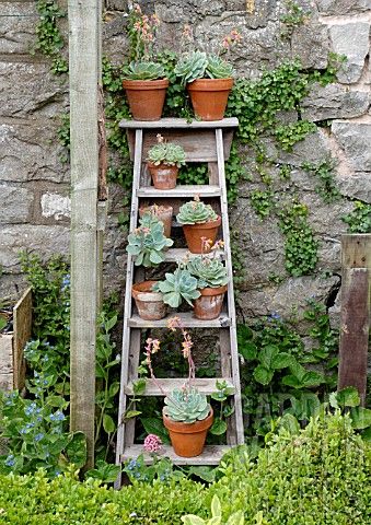 Decoration echelle jardin