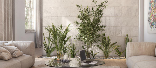 Conseils decoration salon