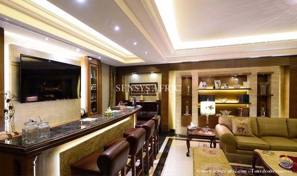 Décoration plafond salon simple