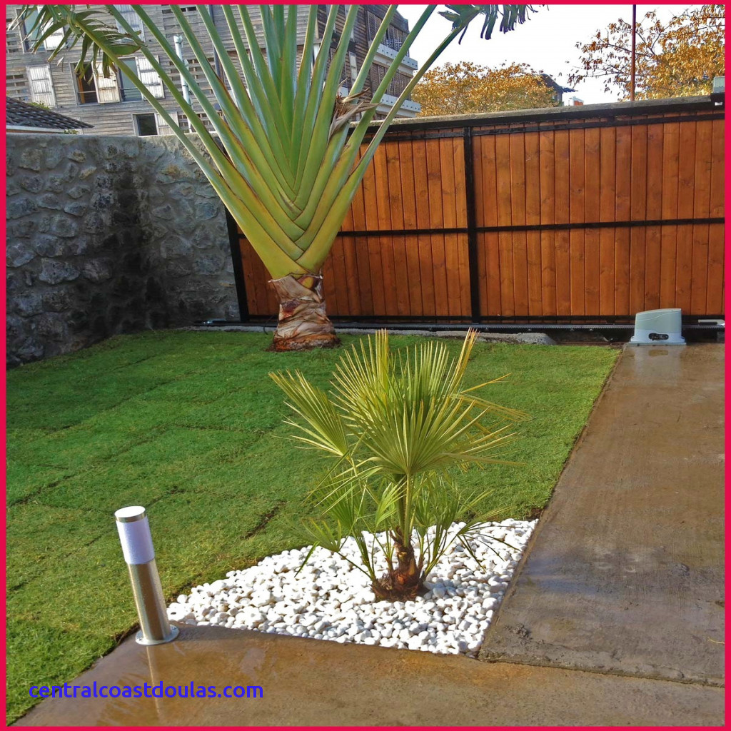 Decoration jardin bambous
