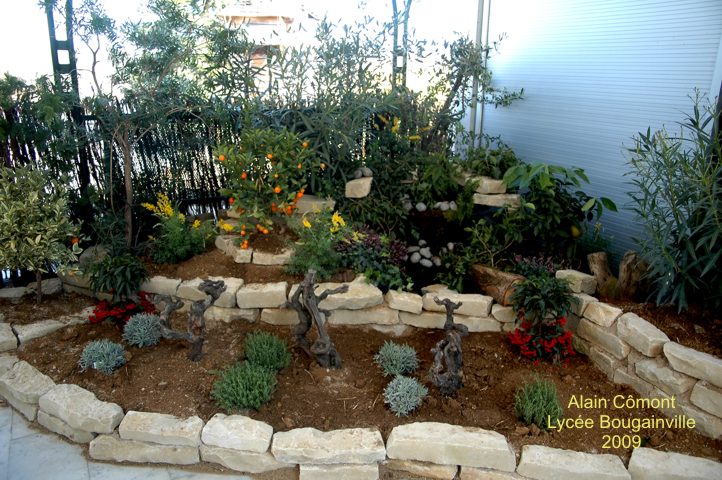 Decoration jardin mediterraneen