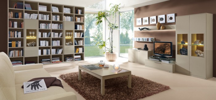 Salon bibliotheque decoration