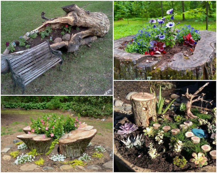 Decoration arbre mort dans jardin