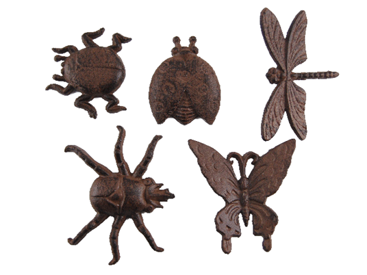 Insecte decoration murale