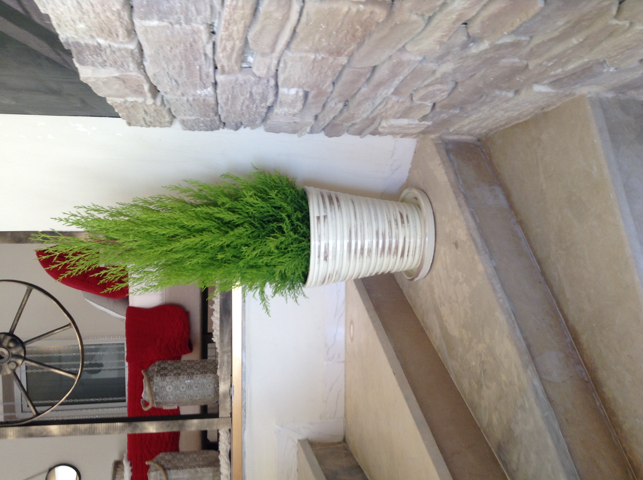 Decoration jardin tunisie