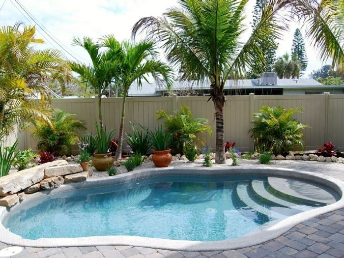 Décoration jardin avec piscine