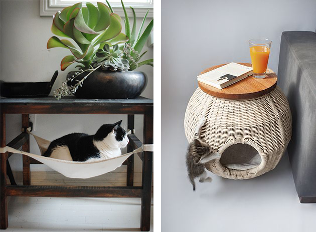 Chat decoration maison
