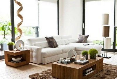 Decoration nature salon