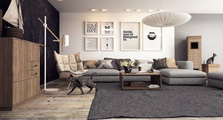 Decoration salon avec gris