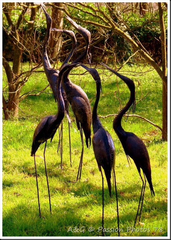 Décoration de jardin animaux