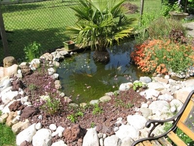 Decoration petit bassin jardin