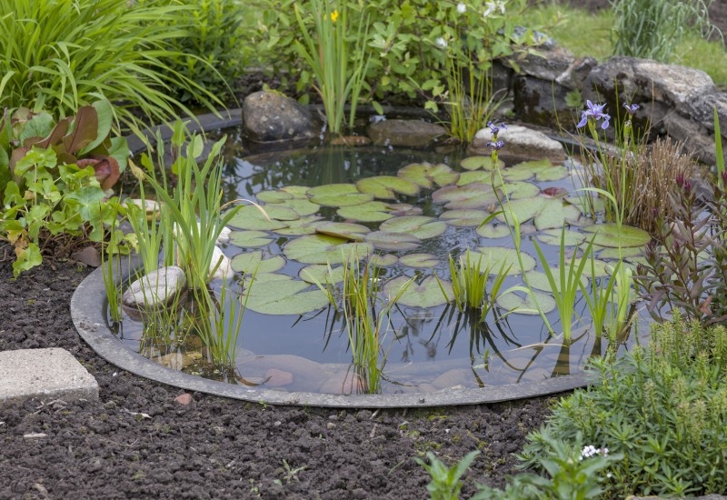Decoration de bassin de jardin