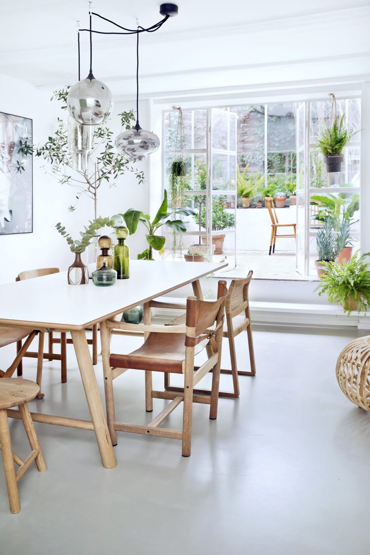 Plante décoration maison