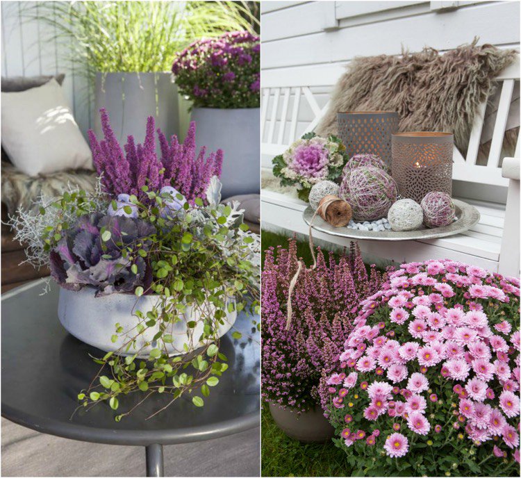 Decoration jardin automne