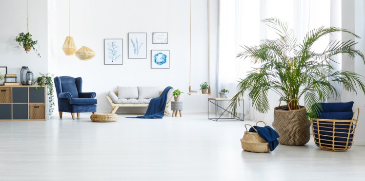 Decoration de interieur