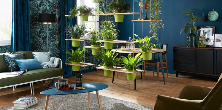 Decoration salon couleur