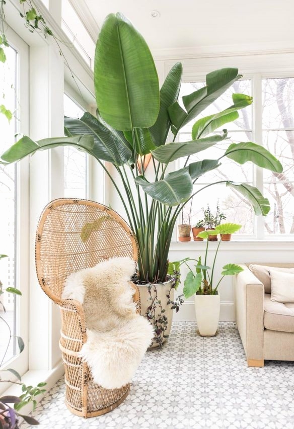Décoration maison pinterest