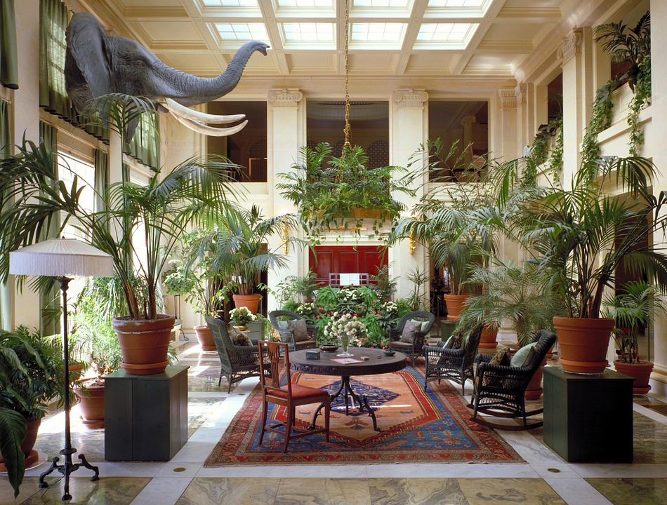 Decoration interieur style coloniale