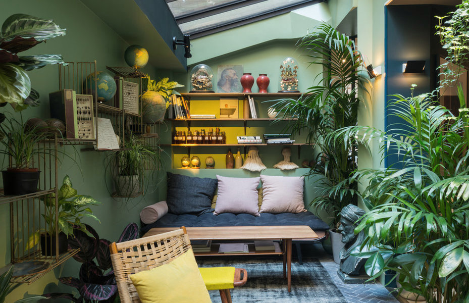 Decoration salon jungle
