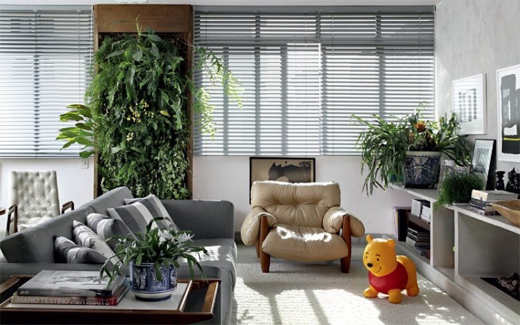 Decoration salon avec plantes