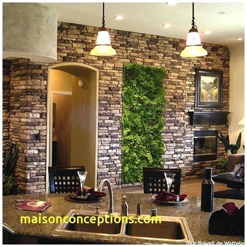 Decoration des murs interieur