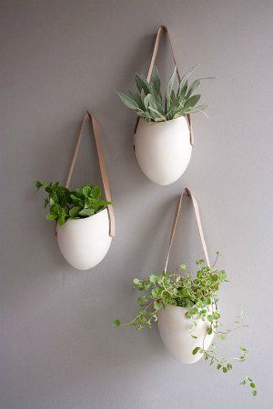 Decoration murale pour plantes