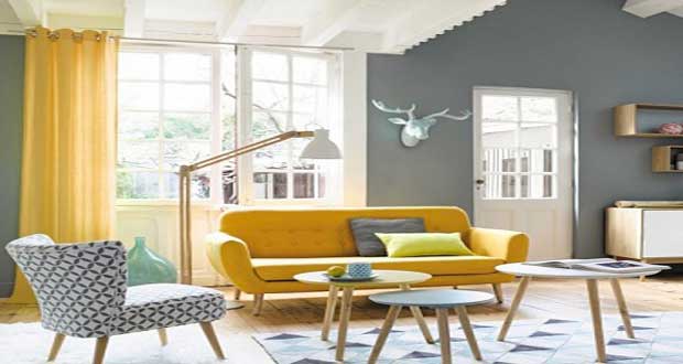 Idées de décoration salon