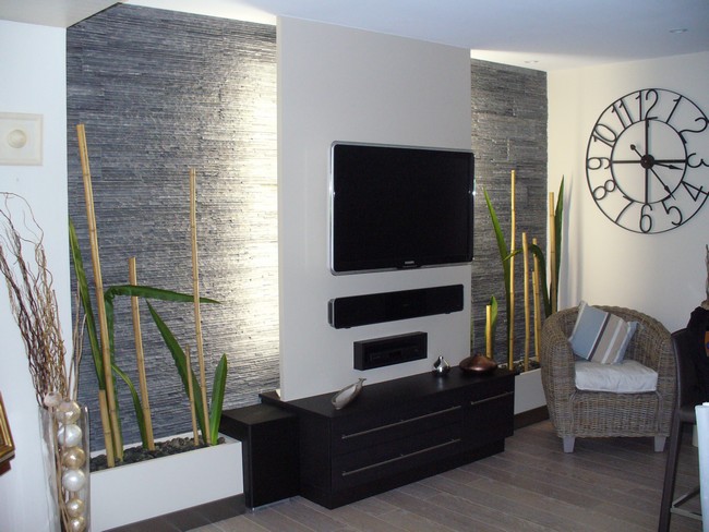 Decoration salon plaquette de parement