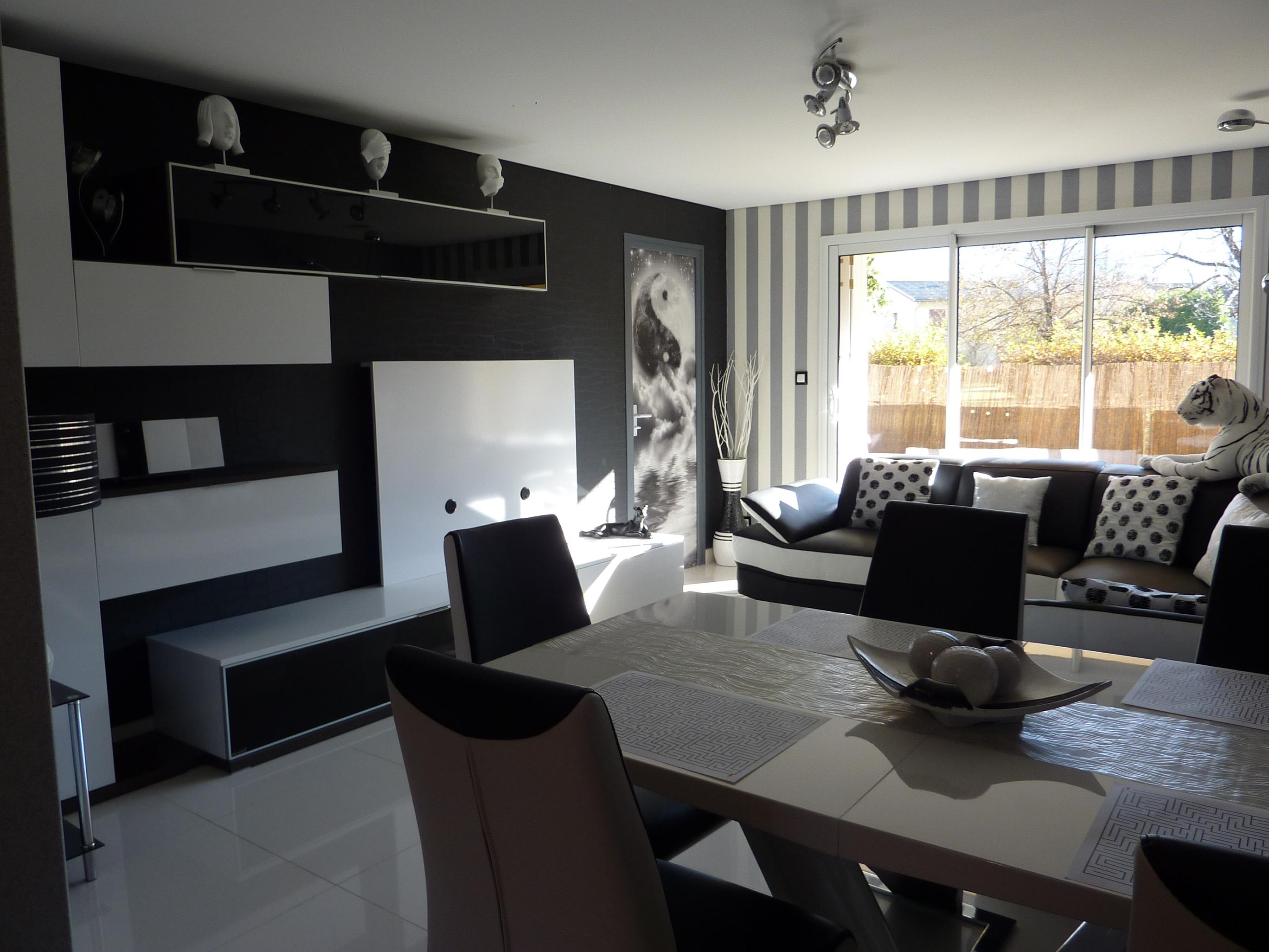 Decoration salon avec design moderne