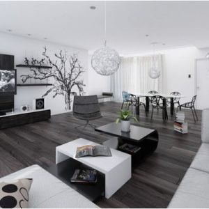 Decoration salon design noir et blanc