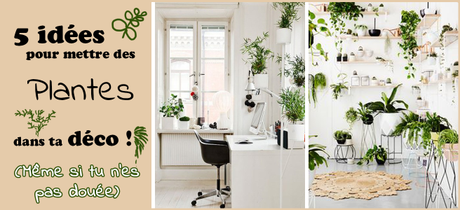 Decoration interieur style colonial