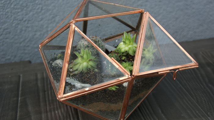 Décoration terrarium fait maison