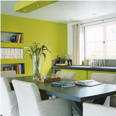 Décoration salon gris et vert anis