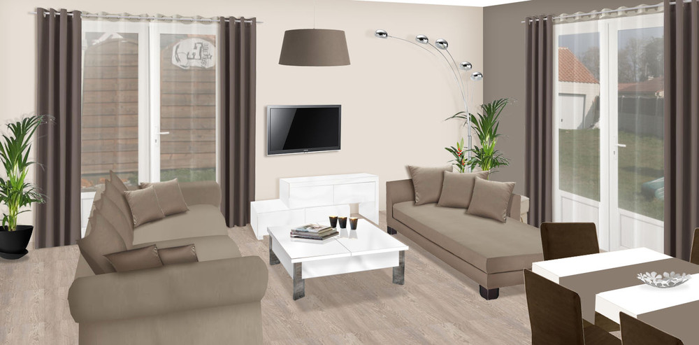 Idée décoration salon couleur taupe