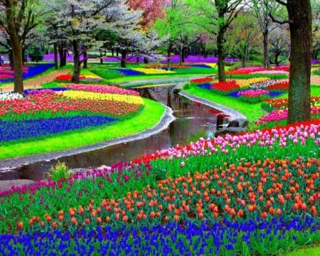 Decoration jardin fleurs