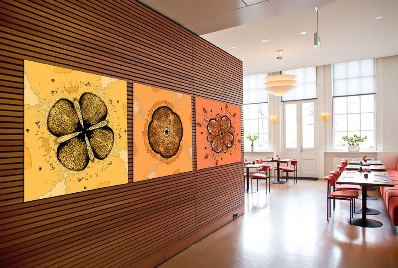 Decoration murale pour photo