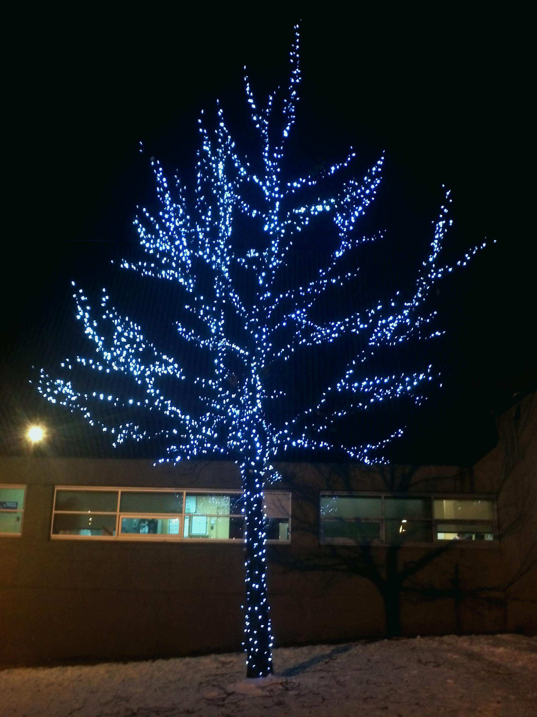Decoration lumineuse murale noel