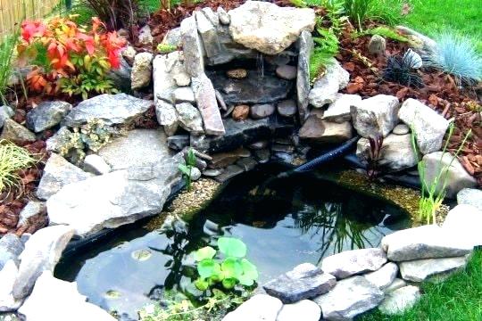 Decoration bassin jardin