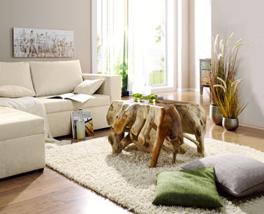 Décoration salon ton naturel
